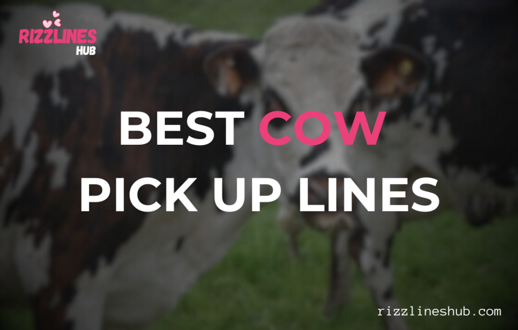 Cow pick up lines