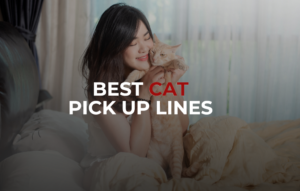 cat pick up lines