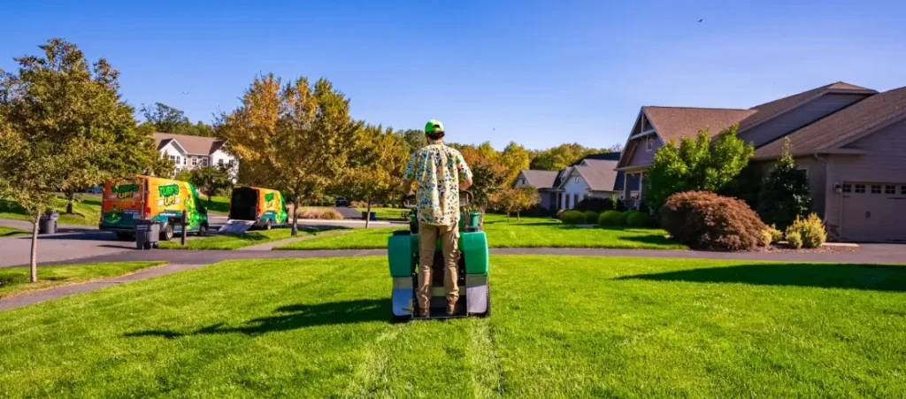 Seasonal Lawn Care Strategies Achieving a Healthy Lawn Year-Round
