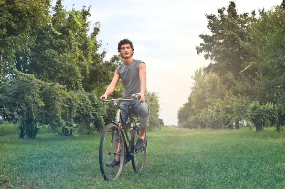 Steps to a Healthier You Wellness Tips for Everyday Life