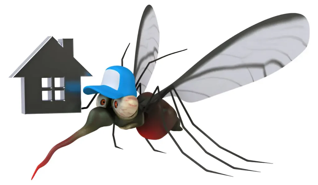 Practical Strategies to Reduce Mosquito Problems at Home