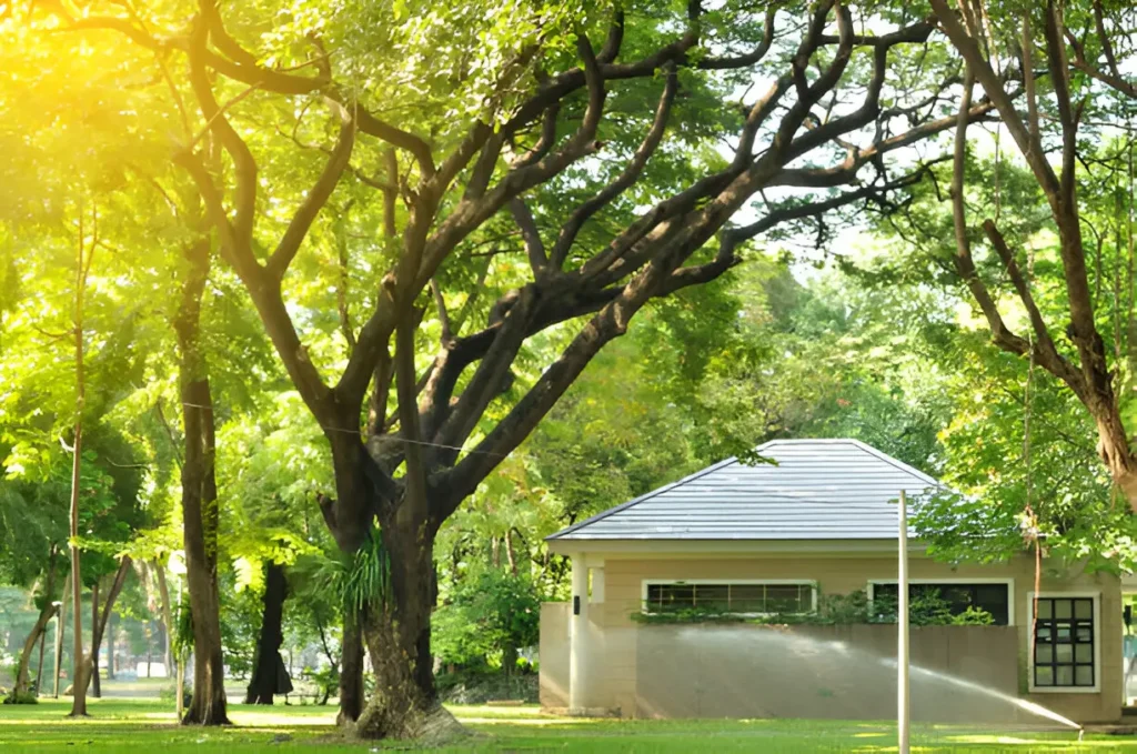 Surrounded by Nature How to Maintain a Tree-Encircled Home